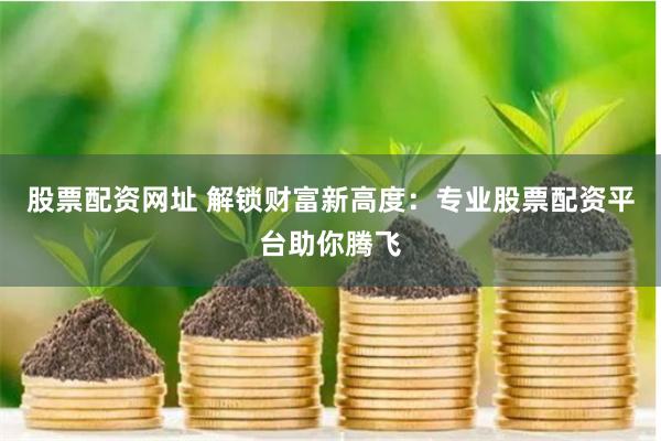 股票配资网址 解锁财富新高度：专业股票配资平台助你腾飞