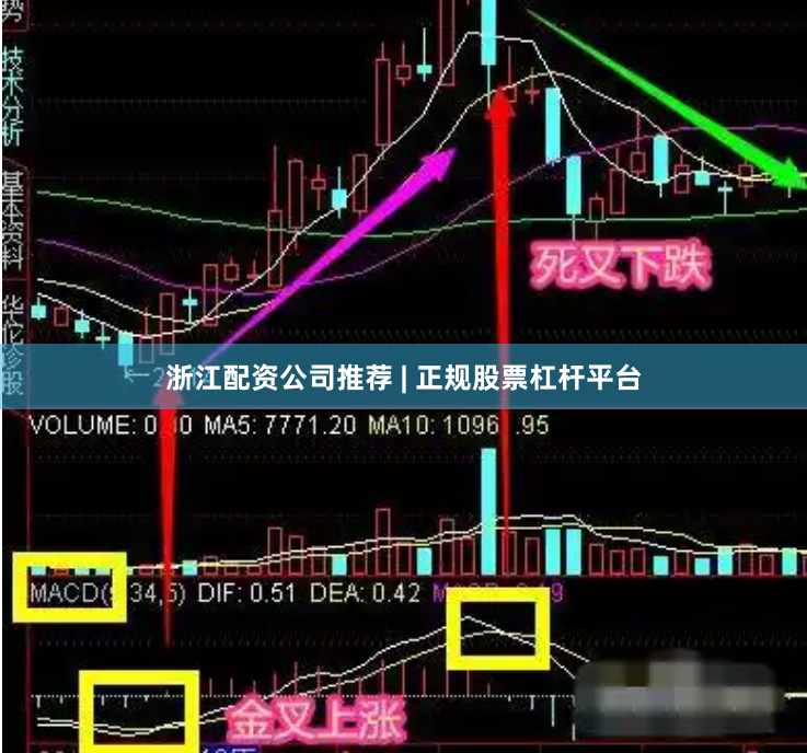 浙江配资公司推荐 | 正规股票杠杆平台